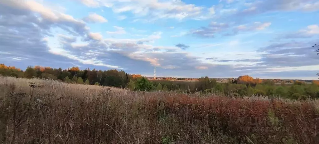 Участок в Московская область, Дмитровский муниципальный округ, д. ... - Фото 1