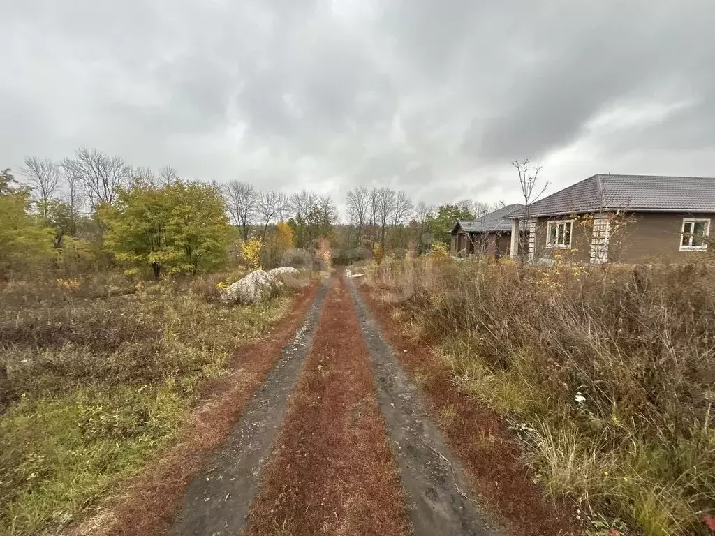 Участок в Белгородская область, Белгород Лимонник СТ, 596 (10.0 сот.) - Фото 1