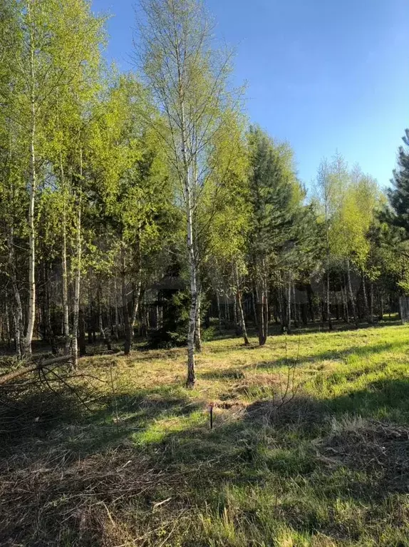 Участок 5,4 сот. (ИЖС) - Фото 0