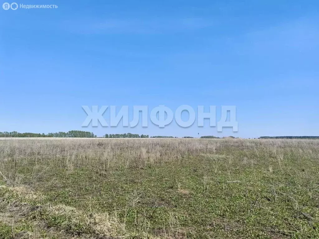 Участок в Колыванский район, СНТ Большая Семья (8.7 м) - Фото 1