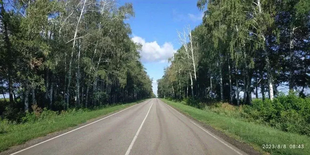 Участок в Белгородская область, Яковлевский городской округ, Калинин ... - Фото 0