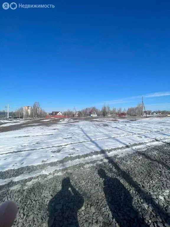 Участок в Пермь, Курашимская улица, 41 (5 м) - Фото 2
