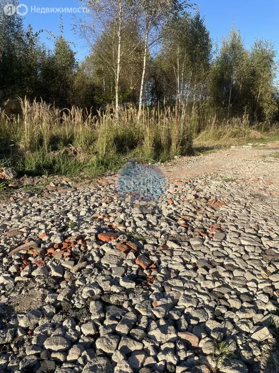 Участок в Московская область, городской округ Домодедово, деревня ... - Фото 0