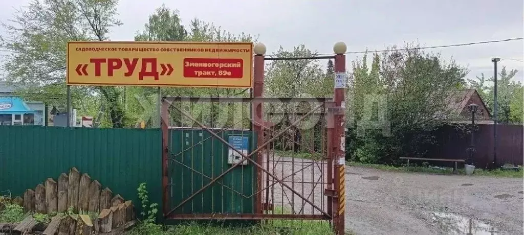 Участок в Алтайский край, Барнаул тракт Змеиногорский (1256.0 сот.) - Фото 1