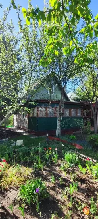 Дом в Воронежская область, Рамонский район, Новоживотинновское с/пос, ... - Фото 1