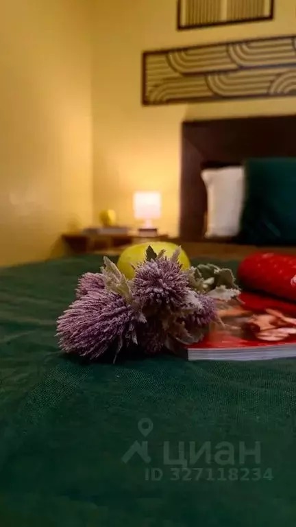 1-к кв. Пермский край, Пермь Екатерининская ул., 96 (32.0 м) - Фото 2