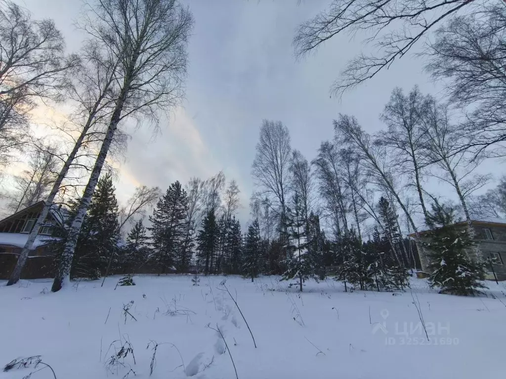 Участок в Красноярский край, Красноярск городской округ, пос. Минино ... - Фото 2