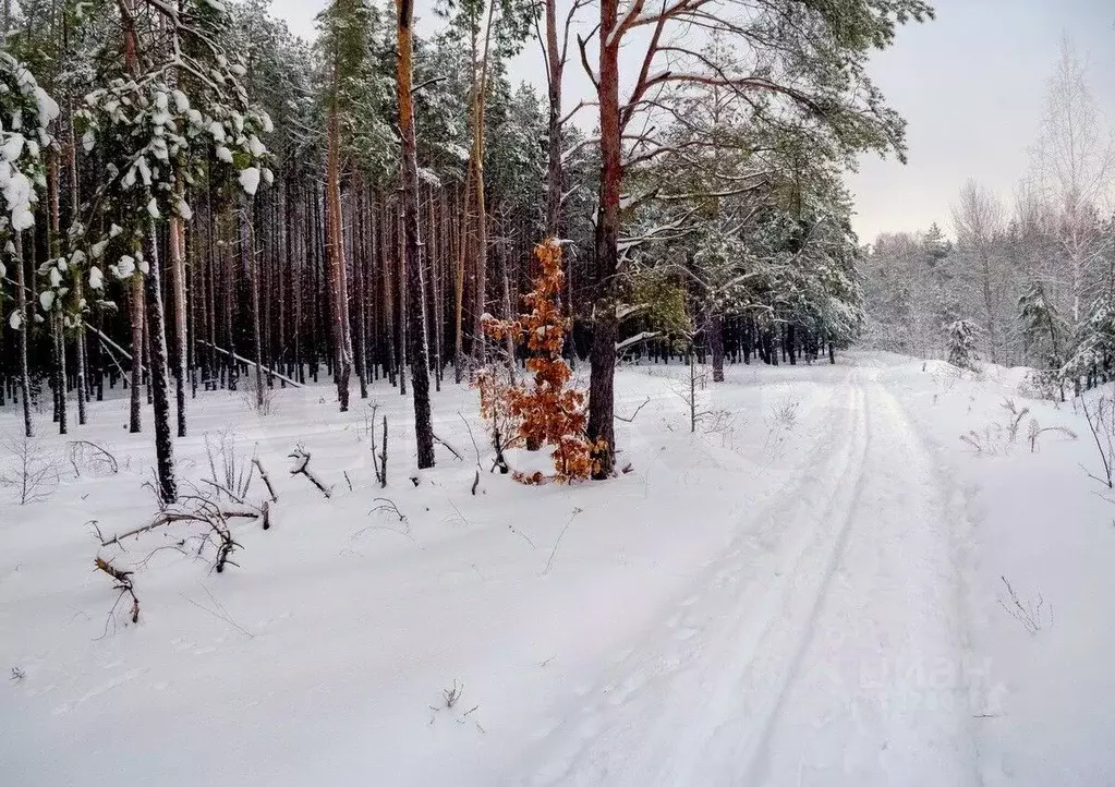 Участок в Тульская область, Тула муниципальное образование, д. ... - Фото 0