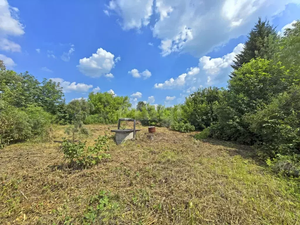 Участок в Омская область, Омск СОСН Содружество тер., аллея 7-я (5.0 ... - Фото 1