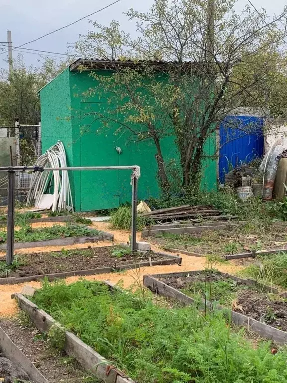 Дом в Нижегородская область, Нижний Новгород Надежда СНТ, 388 (50 м) - Фото 1