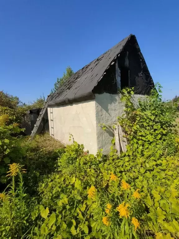 Купить Дачу В Воронеже