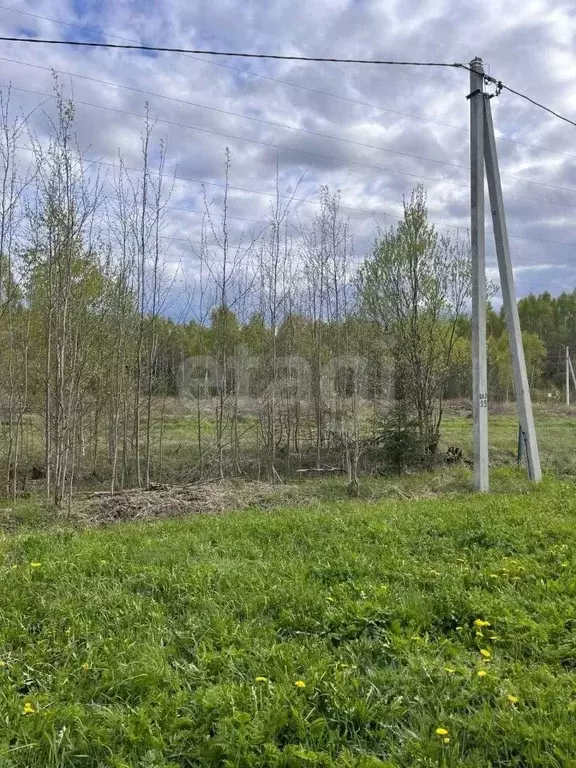Участок в Калужская область, Юхновский район, Беляево с/пос, д. Батино ... - Фото 0