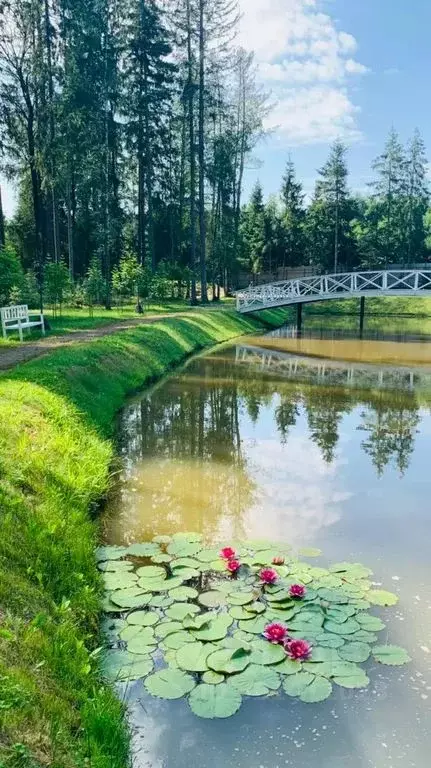 Дом в Новгородская область, Новгородский район, Савинское с/пос, д. ... - Фото 1