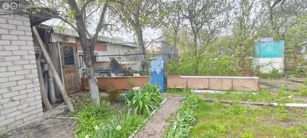 Дом в Брянск, садоводческое общество Мичуринец, 325 (28 м) - Фото 2