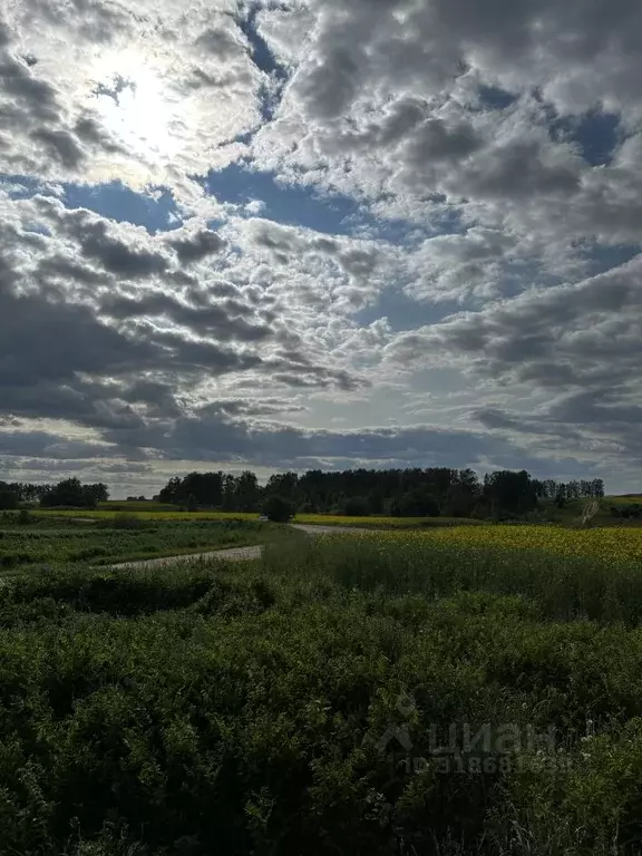Коттедж в Нижегородская область, Богородский муниципальный округ, д. ... - Фото 1