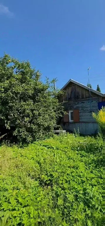 Дом в Московская область, Щелково городской округ, д. Мишнево, ... - Фото 1