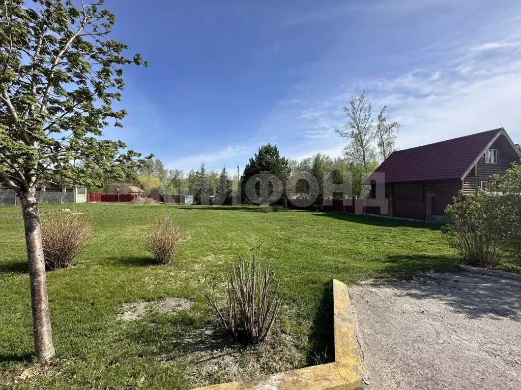 Участок в Новосибирская область, Новосибирский район, с. Боровое ул. ... - Фото 2