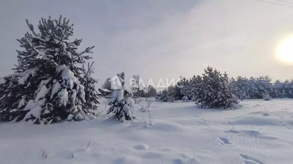 Участок в Владимирская область, Владимир с. Кусуново, ул. Волозинская, ... - Фото 2