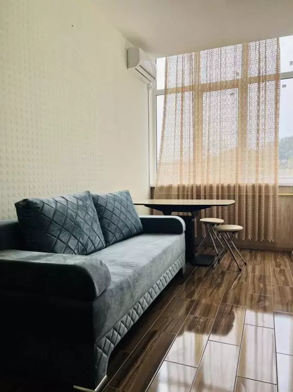 1-к кв. Краснодарский край, Сочи городской округ, Дагомыс пгт ул. ... - Фото 1