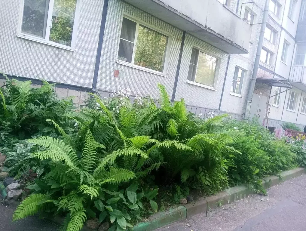 1-к кв. Ленинградская область, Выборг ш. Сайменское, 30 (32.0 м) - Фото 1
