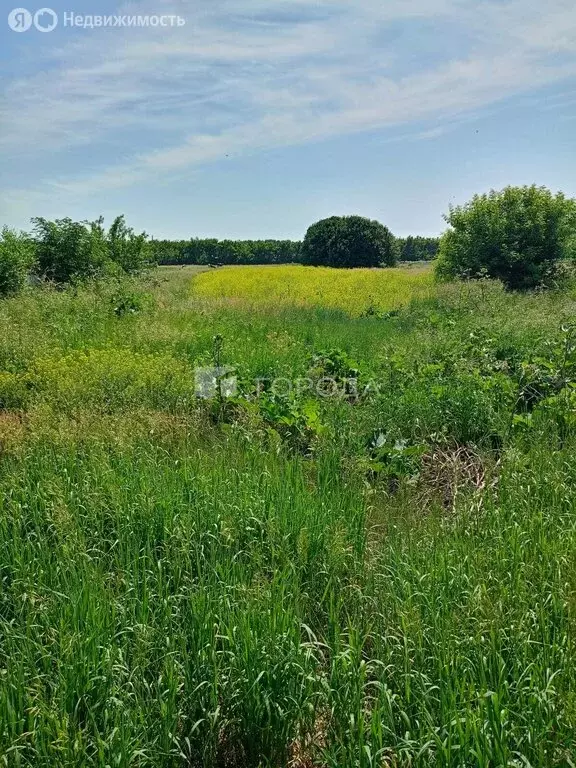Участок в село Романово, Фрунзенская улица, 77 (36.2 м) - Фото 0