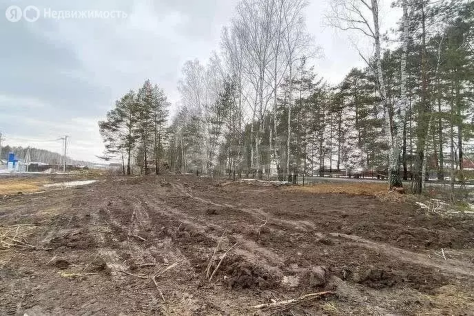 Участок в Тюменский район, деревня Зубарева (7.5 м) - Фото 1