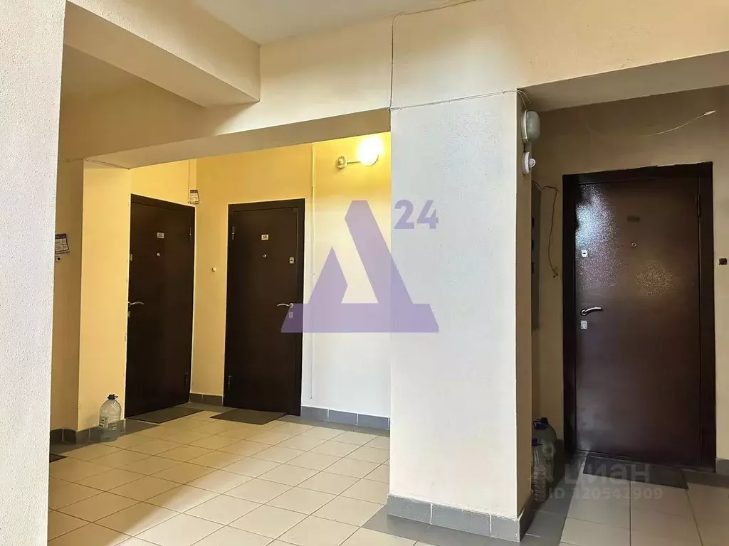 Студия Алтайский край, Барнаул ул. Никитина, 133 (20.0 м) - Фото 1