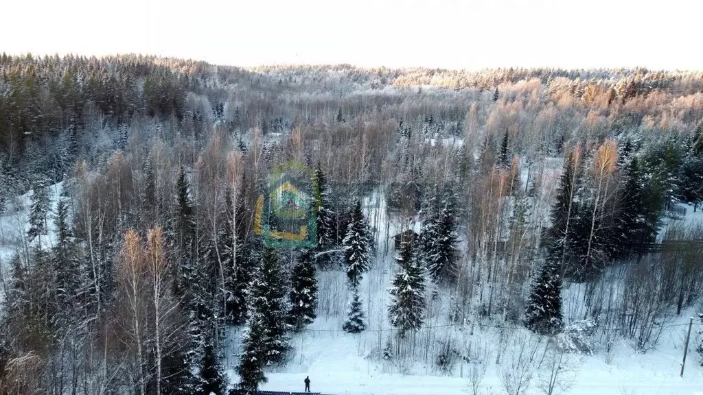 Участок в Ленинградская область, Выборгский район, Первомайское с/пос, ... - Фото 1