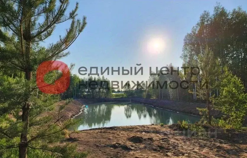 Участок в Тюменская область, Нижнетавдинский район, с. Тюнево  (6.0 ... - Фото 0