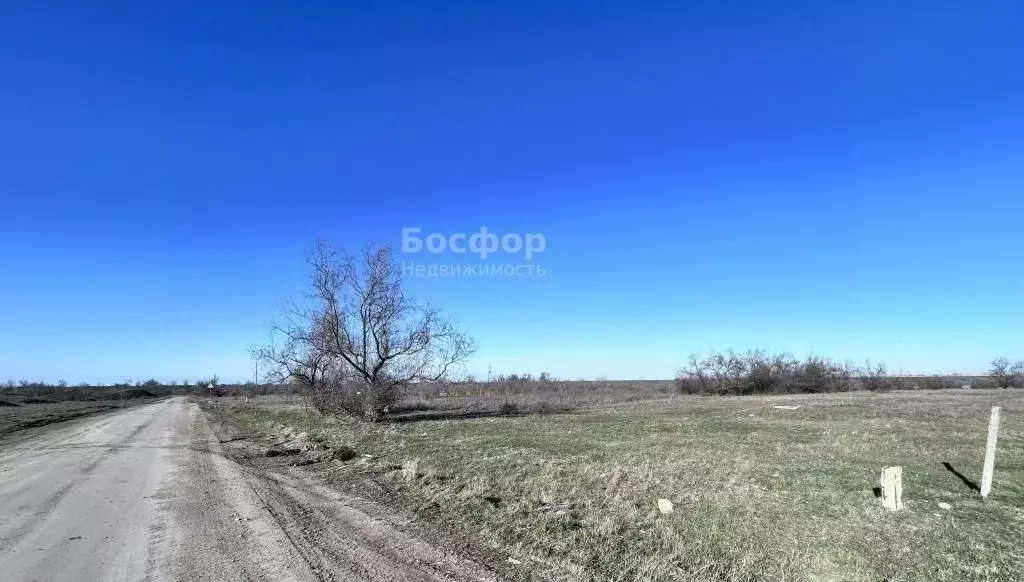 Участок в Крым, Кировский район, с. Владиславовка ул. Степная (25.0 ... - Фото 2