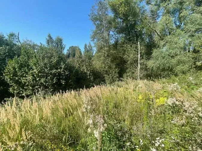 Участок в Московская область, Химки городской округ, д. Подолино, ... - Фото 0