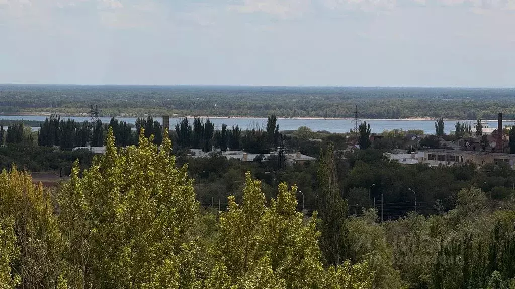 1-к кв. Волгоградская область, Волгоград ул. Хользунова, 18/3 (50.0 м) - Фото 0