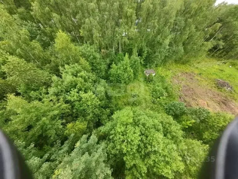 Участок в Калужская область, Калуга городской округ, д. Лихун ул. 1-я ... - Фото 1