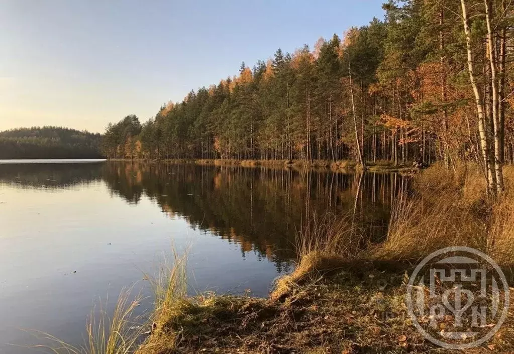 Участок в Ленинградская область, Приозерский район, Раздольевское ... - Фото 2