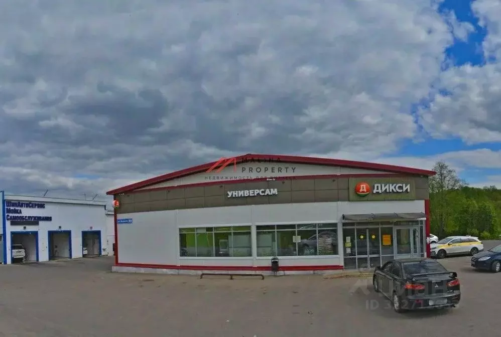 Торговая площадь в Московская область, Чехов муниципальный округ, д. ... - Фото 1