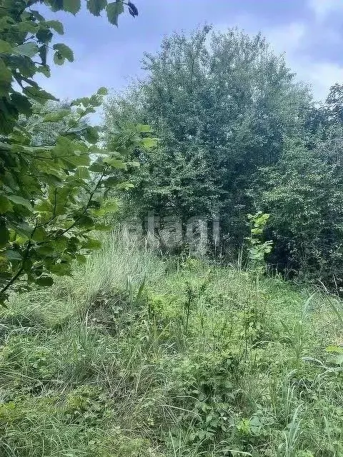 Участок в Краснодарский край, Горячий Ключ Кунпанова Поляна СТ,  (11.4 ... - Фото 0