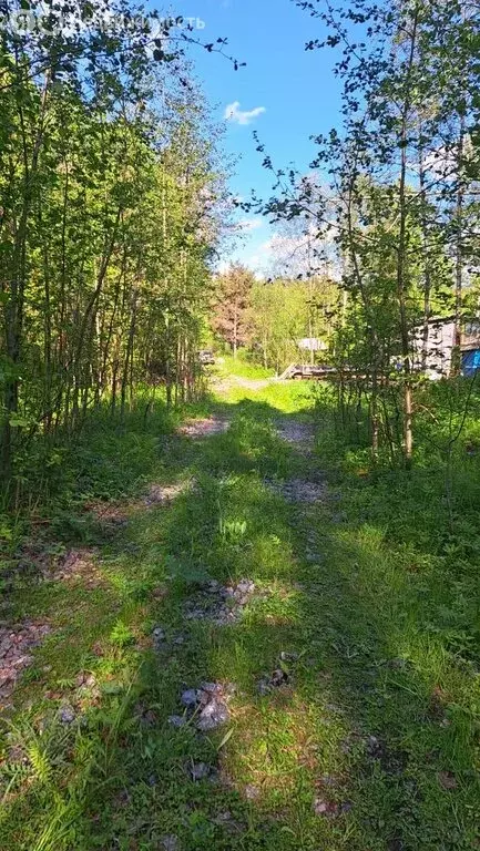 Участок в Приозерский район, Ларионовское сельское поселение, посёлок ... - Фото 1