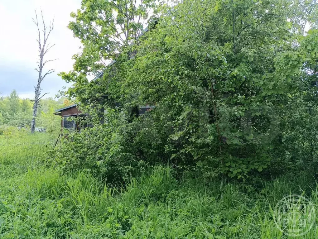 Дом 36 м на участке 23 сот. - Фото 0