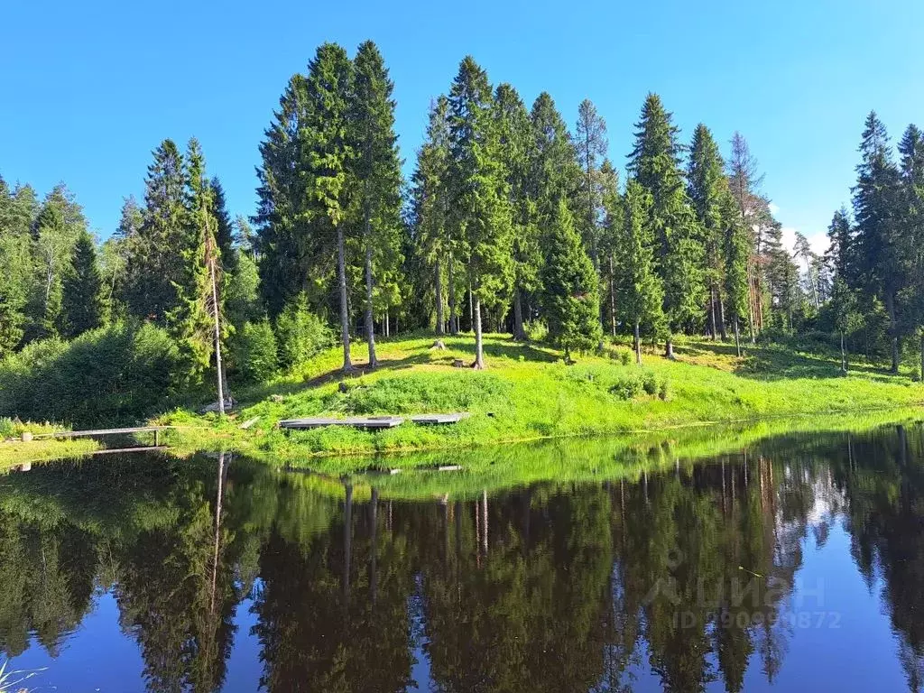 Дом в Ленинградская область, Волховский район, Сясьстройское городское ... - Фото 1