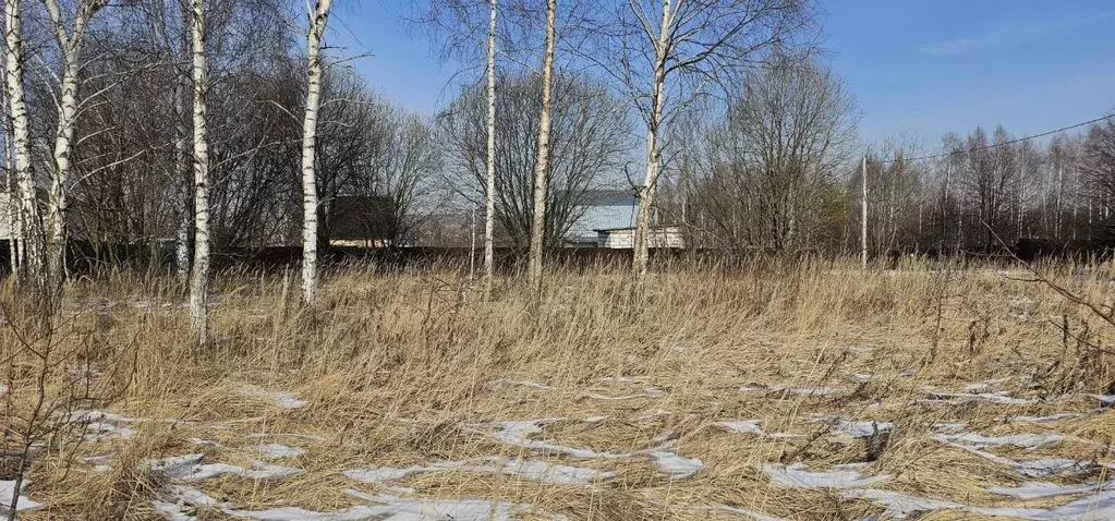 Участок в Московская область, Луховицы  (12.0 сот.) - Фото 0