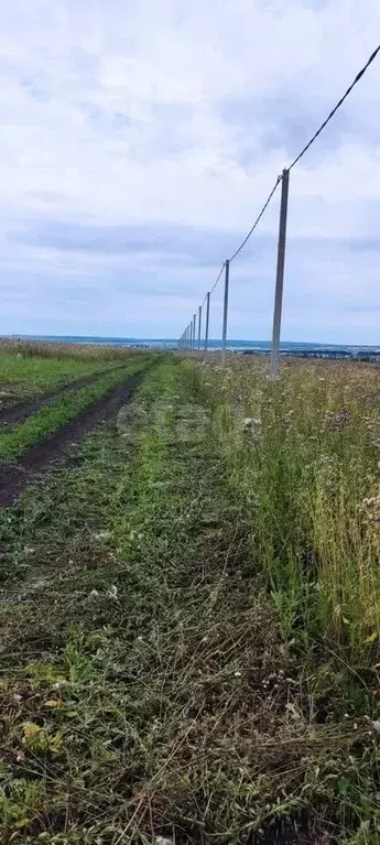 Участок в Мордовия, Саранск городской округ, с. Куликовка  (10.0 сот.) - Фото 2