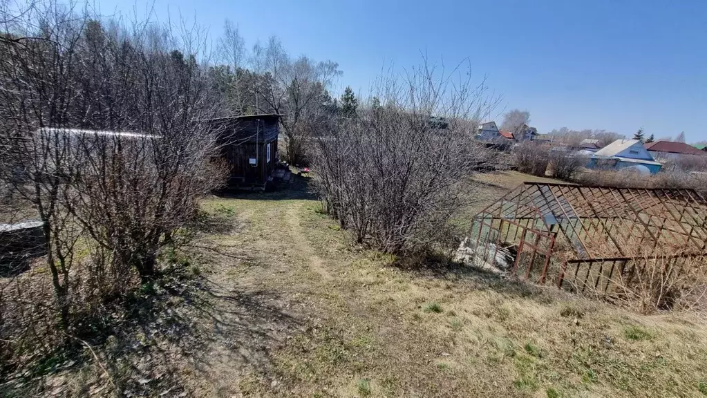 Участок в Курганская область, Курган Колосок садовое товарищество, 157 ... - Фото 1