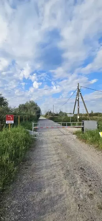 Участок в Тюменская область, Тюмень Большое Царево-3 ОНТ, ул. ... - Фото 1