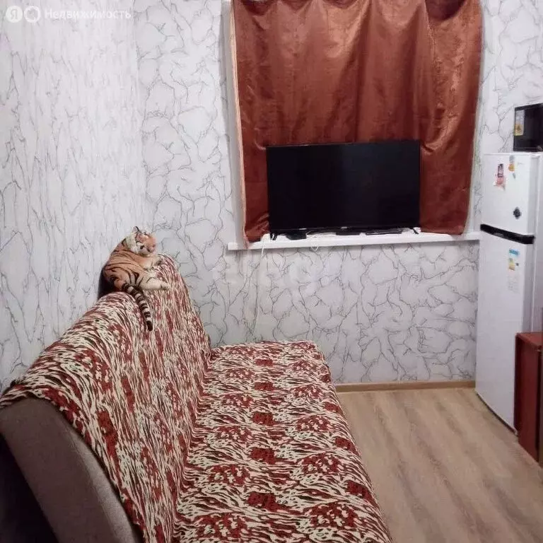 Квартира-студия: Пермь, Пушкарская улица, 79 (13 м) - Фото 2