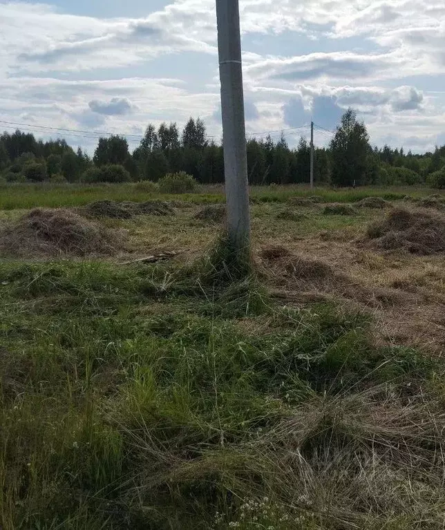 Участок в Костромская область, Кострома Струя-1 СНТ, 1 (5.9 сот.) - Фото 1