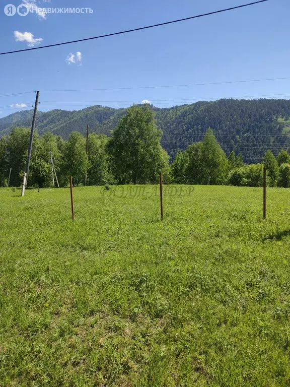 Участок в Чемальский район, село Нижний Куюм (15 м) - Фото 1