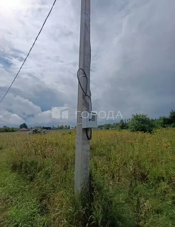 Участок в Колыванский район, НСТ Проектировщик (12 м) - Фото 2