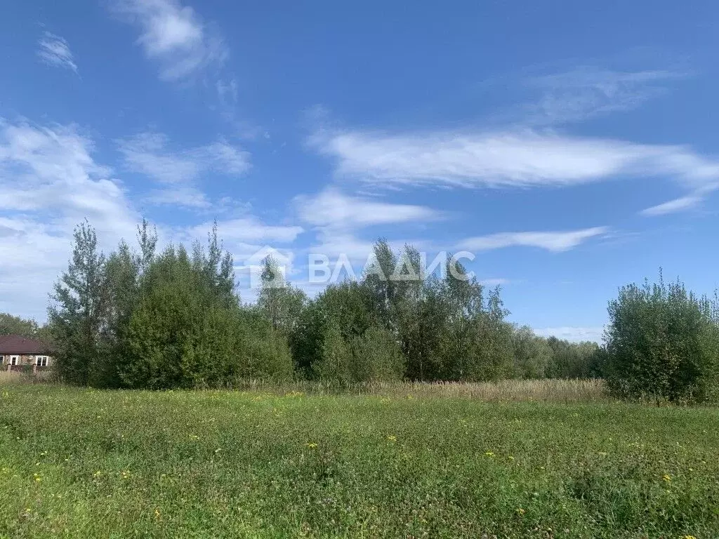 Участок в Владимирская область, Вязники муниципальное образование, д. ... - Фото 2