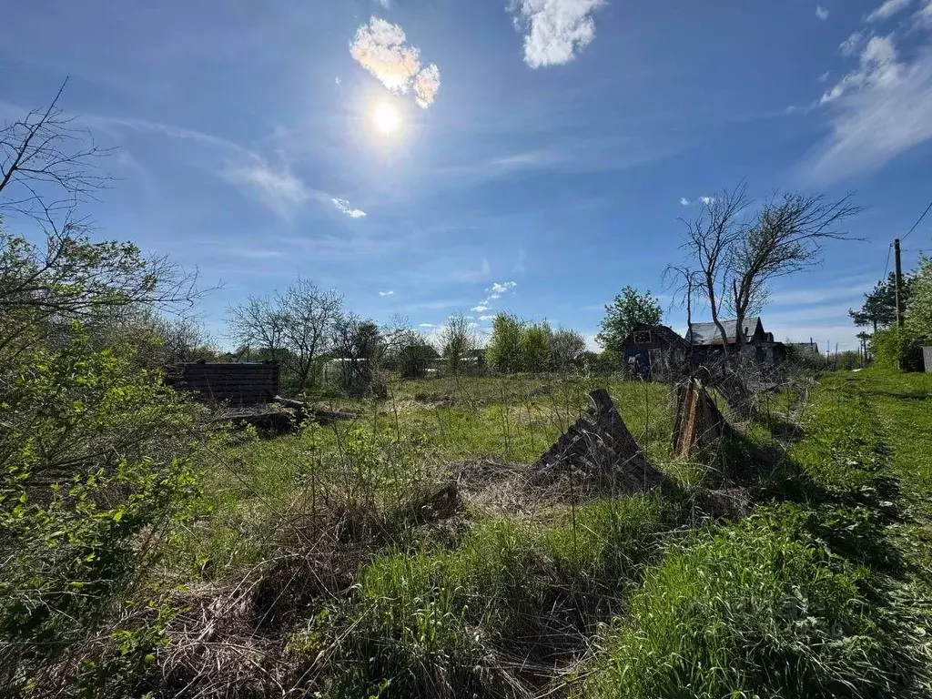 Участок в Вологодская область, д. Фофанцево  (6.0 сот.) - Фото 2