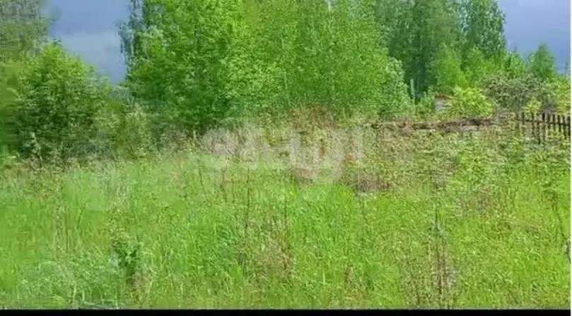Участок 12 сот. (СНТ, ДНП) - Фото 1